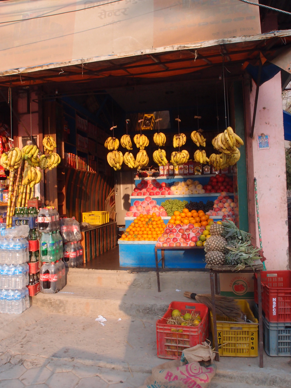 2018-01-22 10 Uhr - Boudha Walk (Foto) 